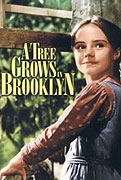 V Brooklynu roste strom