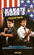 Karate tiger 3: Pokrevní bratři